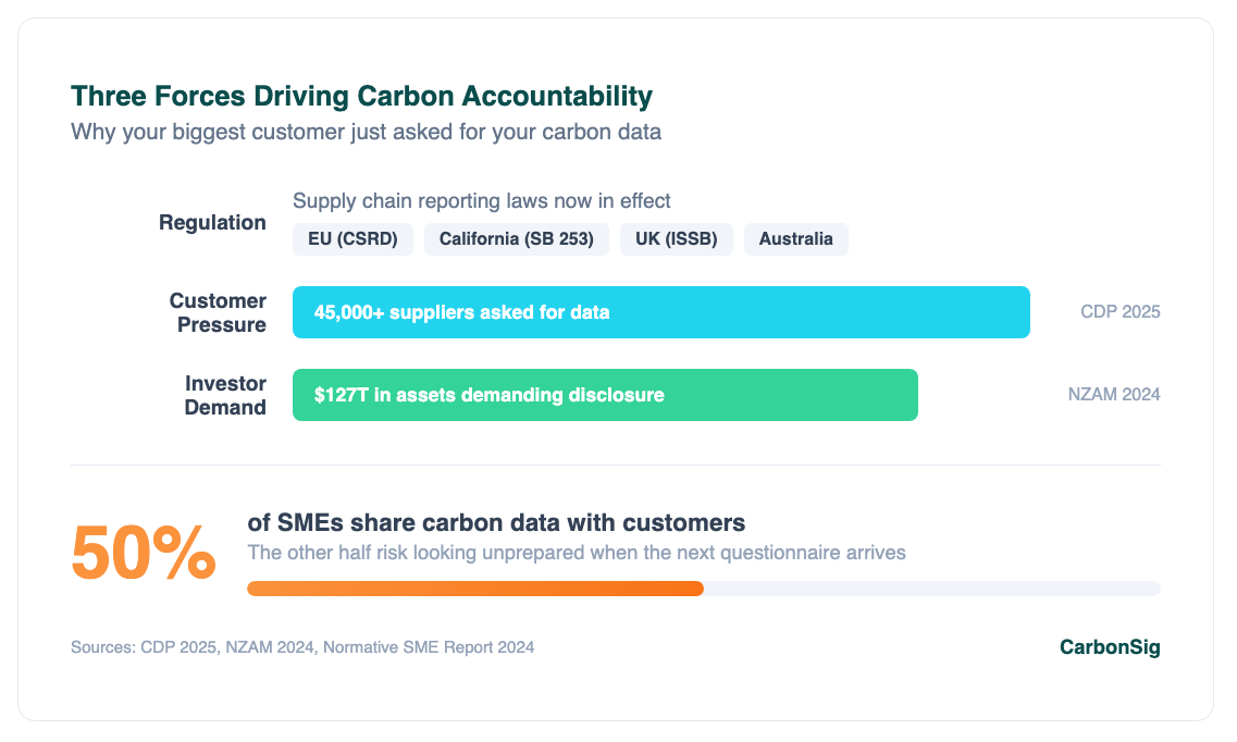 Infographic showing three forces driving carbon accountability: regulation, customer pressure, and investor demand